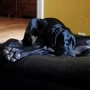 Meet your Posher, Heather